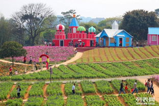 東莞松湖生態園團隊旅游休閑度假田園生活戶外農家樂