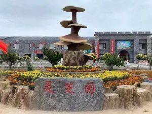 吳忠鄉村休閑游路線攻略