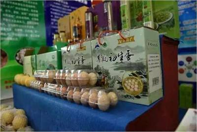 夏日果香四溢，大盛鎮生態園邀您盡享采摘之樂