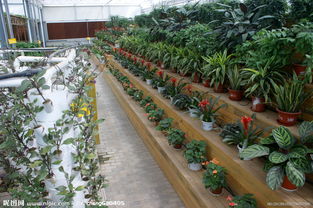 生態(tài)園區(qū) 綠色發(fā)展的視覺盛宴與實(shí)踐探索