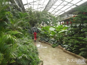 銀東生態(tài)園 江南水鄉(xiāng)的詩意畫卷